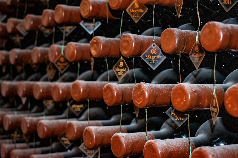 Wine storage tips for beginners