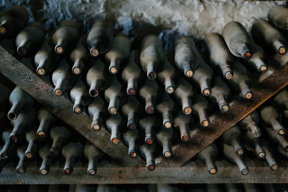 Wine storage tips for beginners