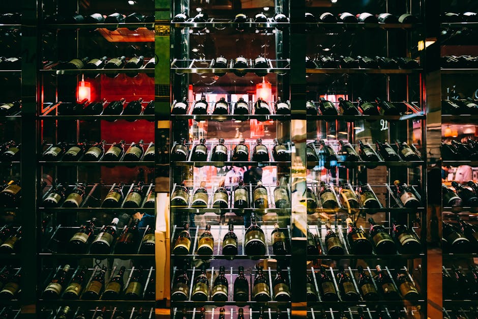 Wine storage tips for beginners