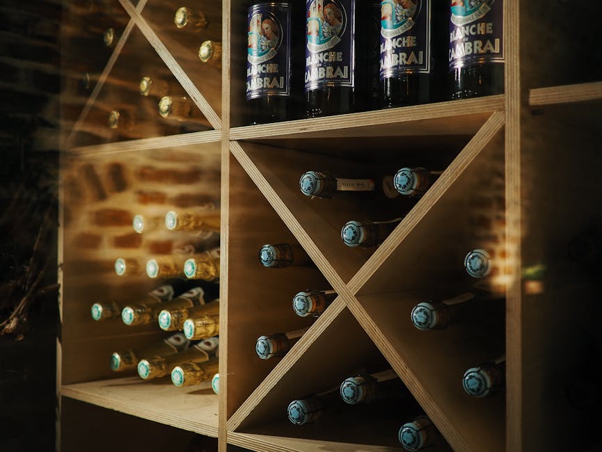 Wine storage tips for beginners